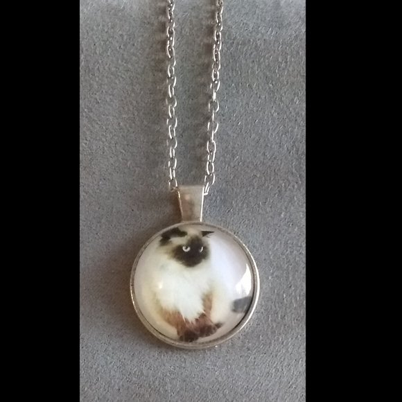 Pretty Kitty picture Necklace - Picture 1 of 4